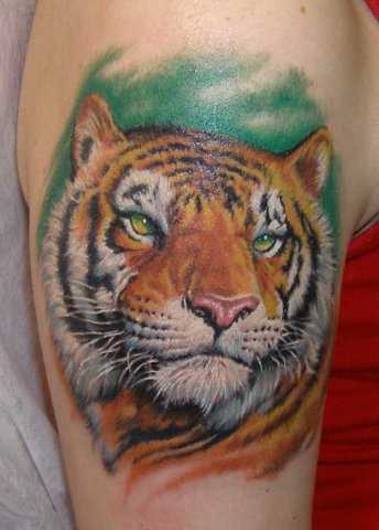A tatuagem no ombro de um cara - de- tigre