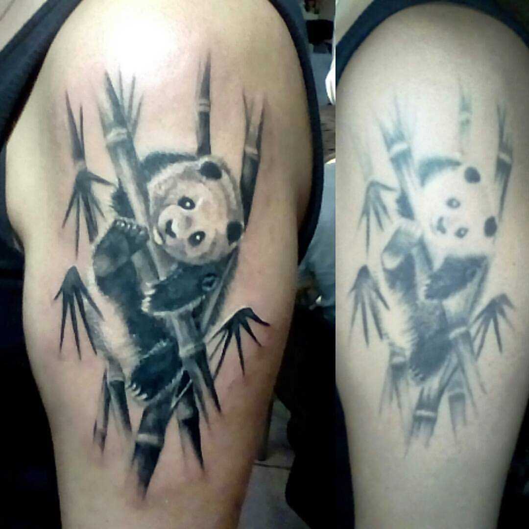 A tatuagem no ombro de um cara - panda