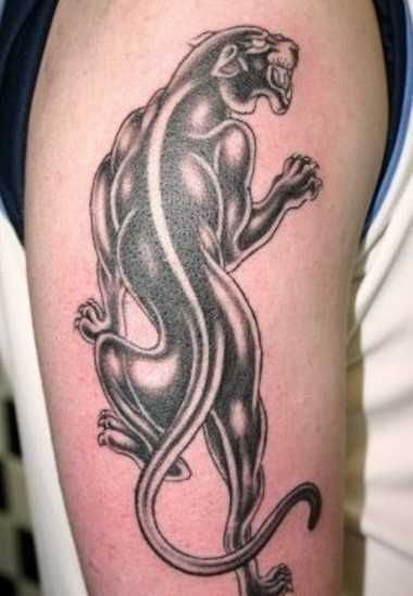 A tatuagem no ombro de um cara - pantera