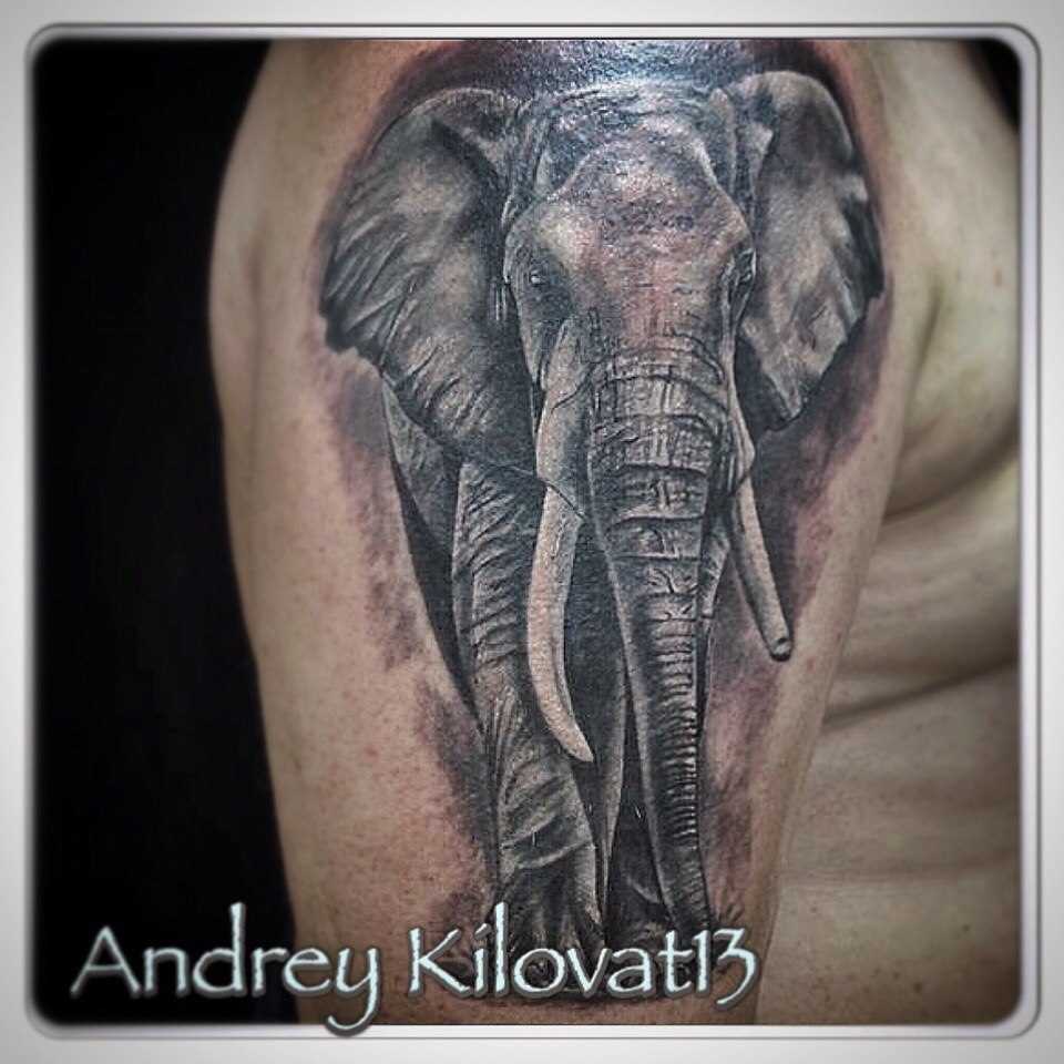 A tatuagem no ombro o homem - elefante