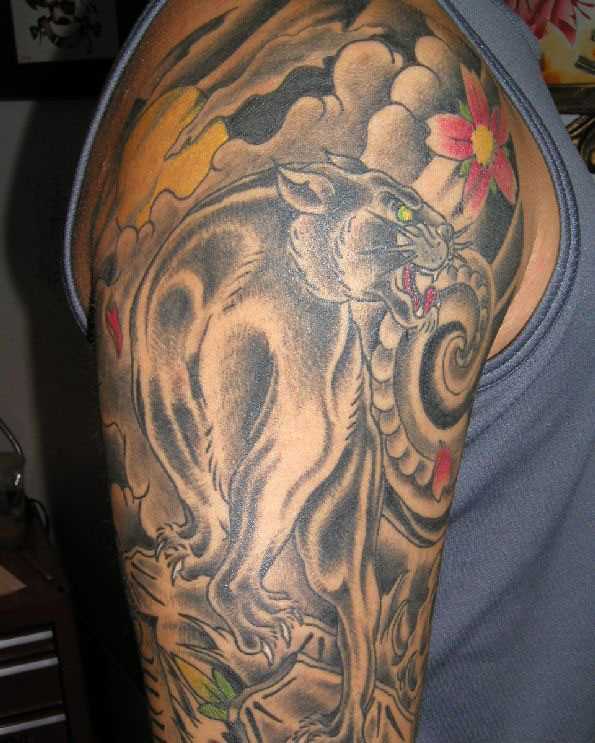 A tatuagem no ombro o homem - pantera e sakura