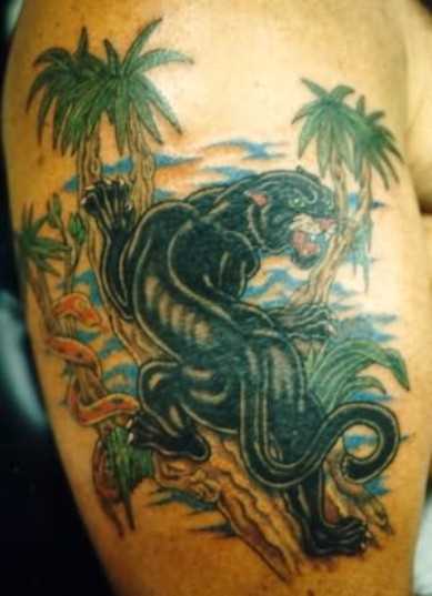 A tatuagem no ombro o homem - pantera na árvore