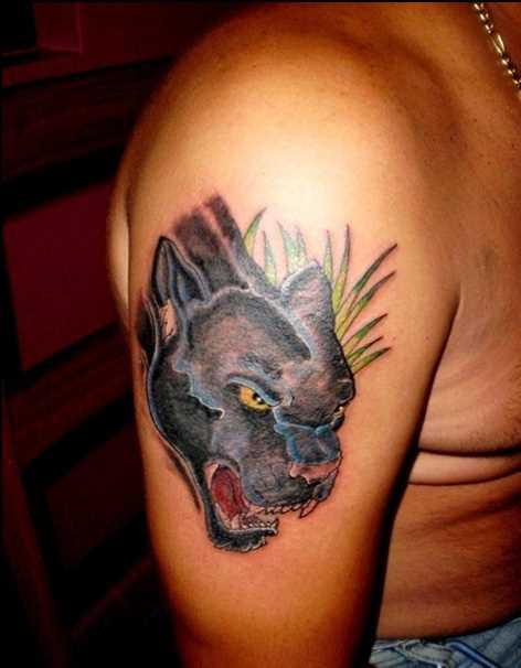 A tatuagem no ombro o homem - pantera na grama