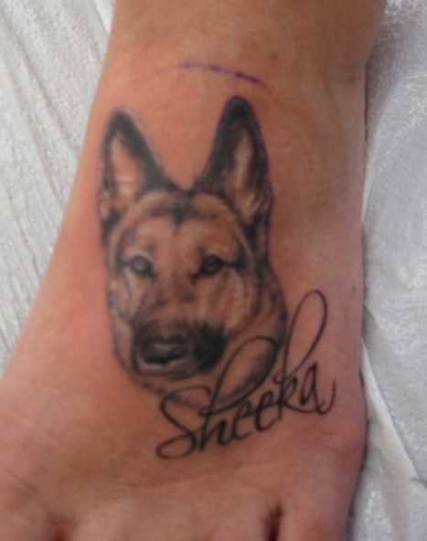 A tatuagem no pé da menina - o cão e a inscrição