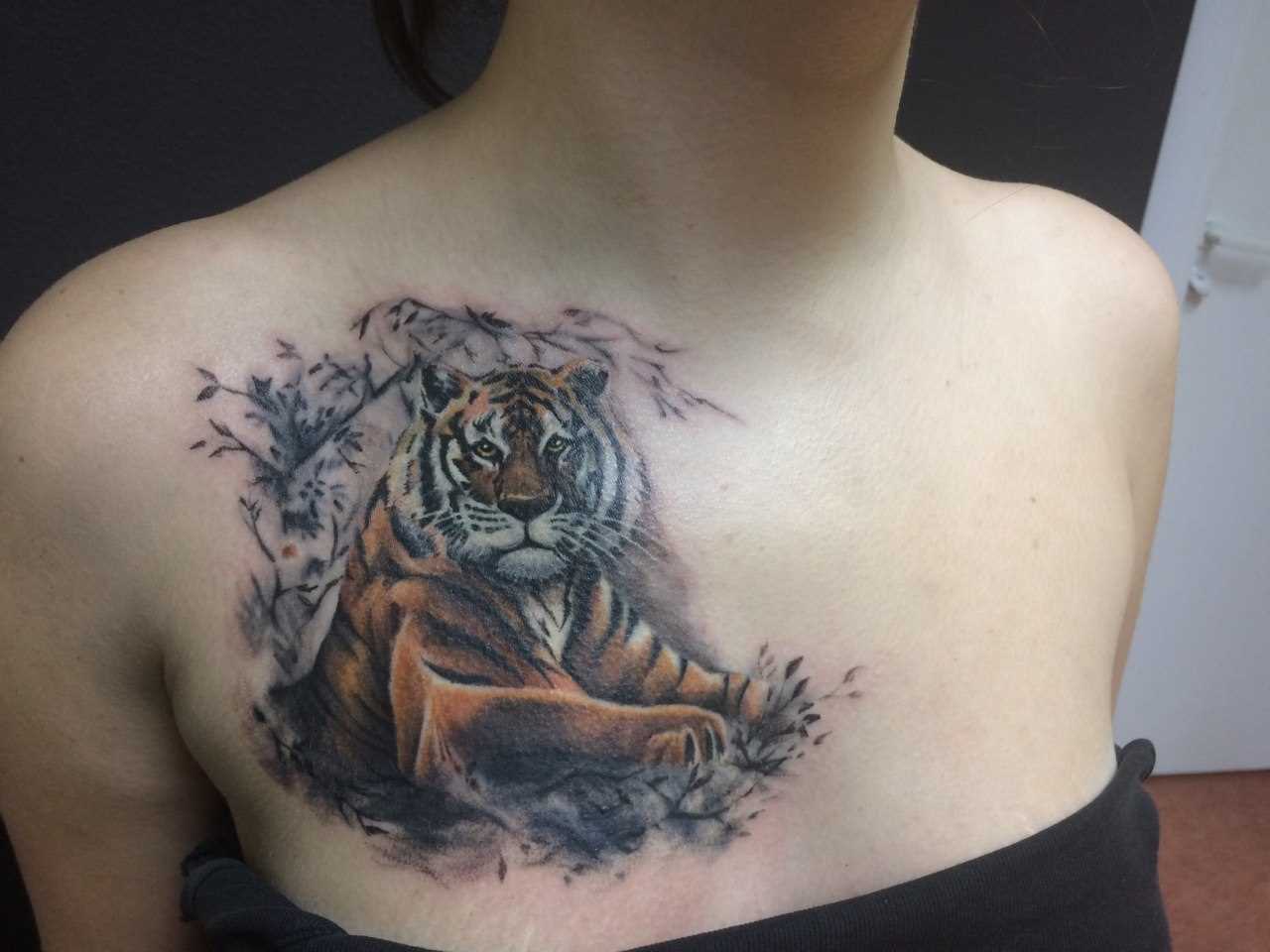 A tatuagem no peito da menina - tigre