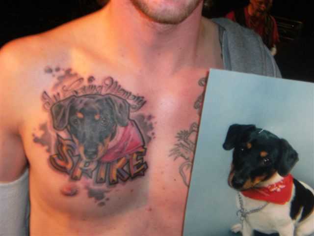 A tatuagem no peito de um cara como o cão e a concepção de tatuagem