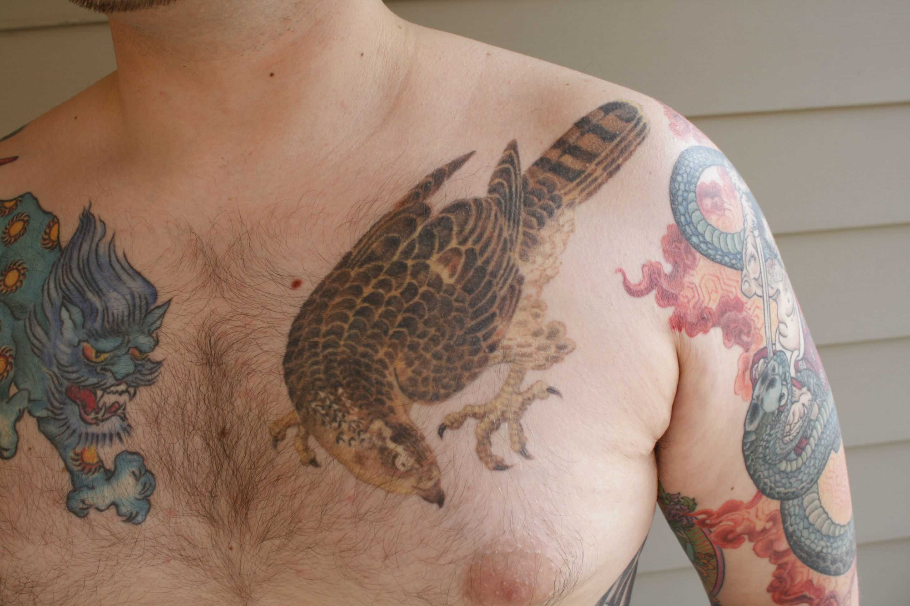 A tatuagem no peito de um cara - de- falcão