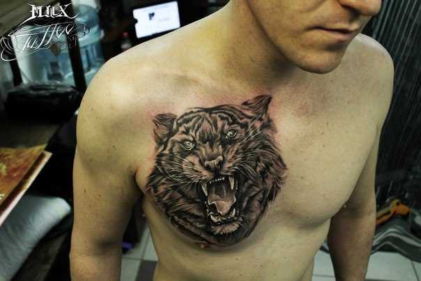A tatuagem no peito de um cara - de- tigre