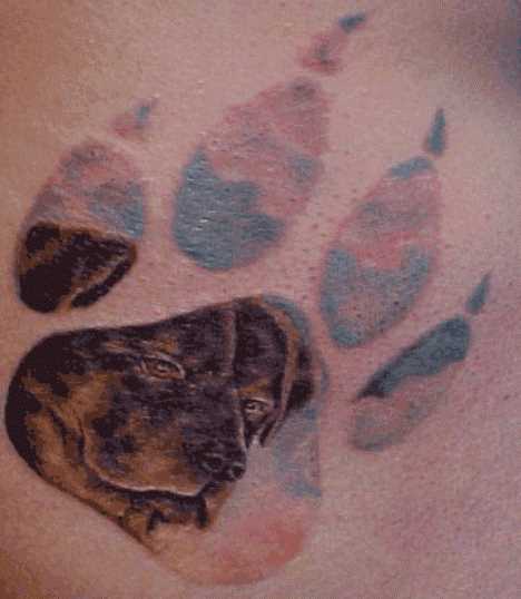A tatuagem no peito de um cara em forma de cão e as patas do cão