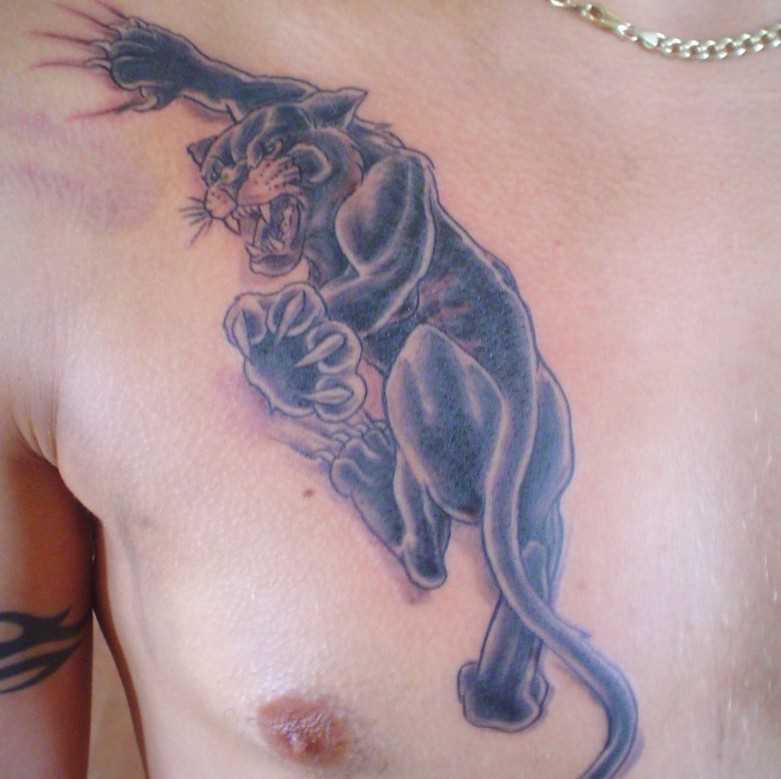 A tatuagem no peito de um cara - pantera