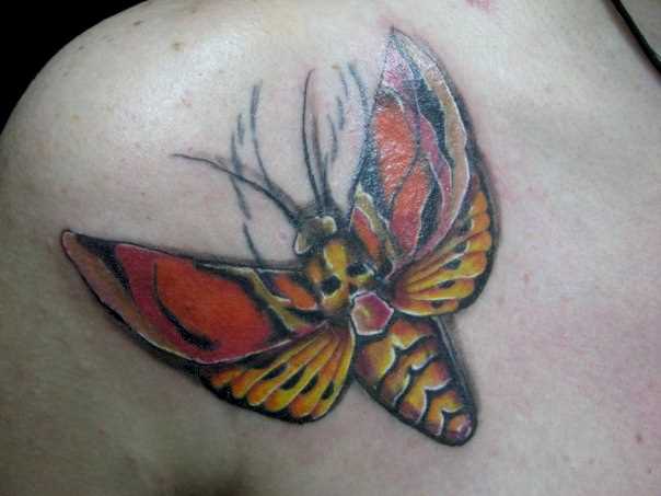 A tatuagem no peito do cara - borboleta