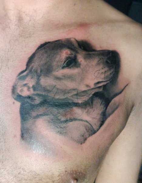 A tatuagem no peito do cara - de- cachorro