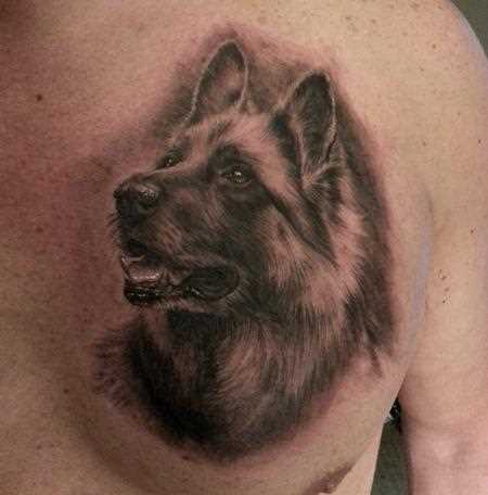 A tatuagem no peito do cara - de- cão-pastor