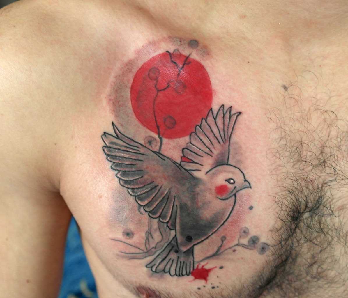 A tatuagem no peito do cara - de- pombo