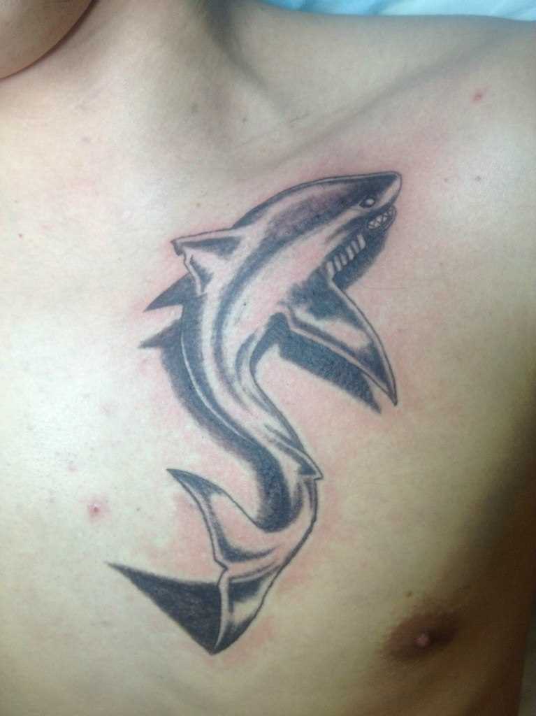 A tatuagem no peito do cara - de tubarão