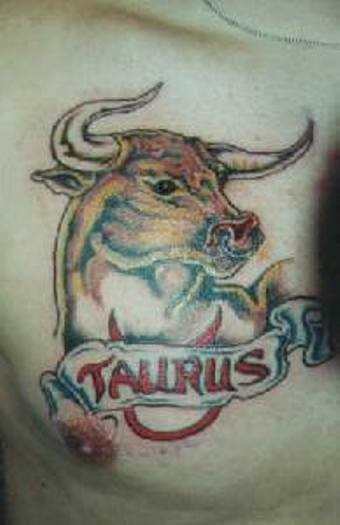 a tatuagem no peito do cara - o touro e a inscrição