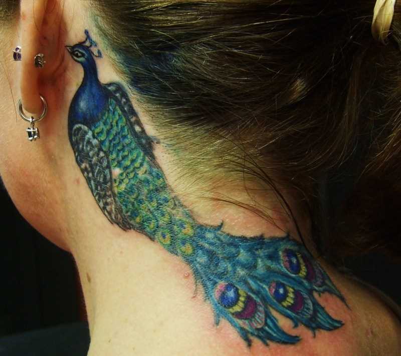 A tatuagem no pescoço da menina - pavão
