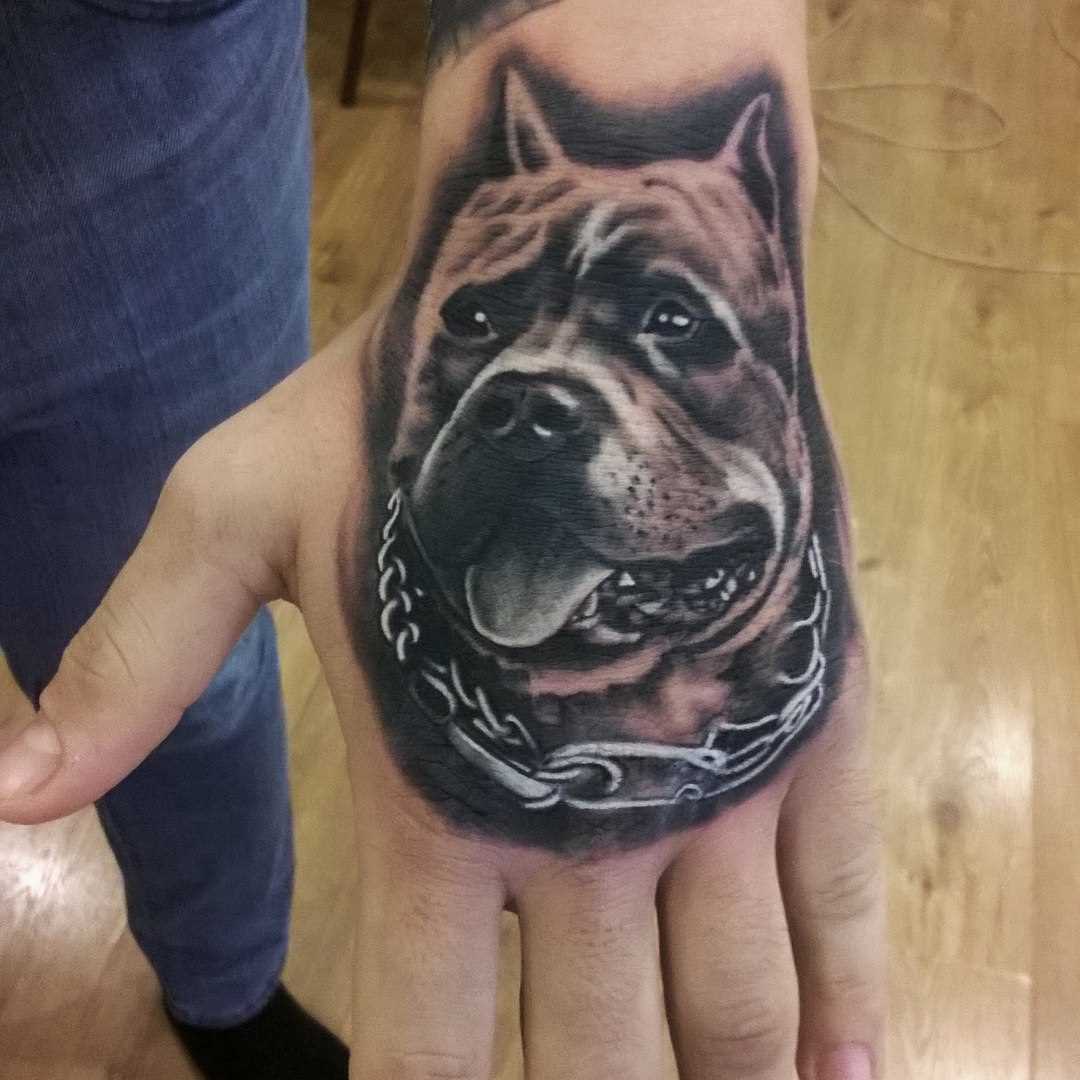 A tatuagem no pincel o cara - de- cão