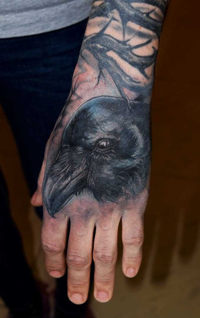A tatuagem no pincel o cara - de- corvo