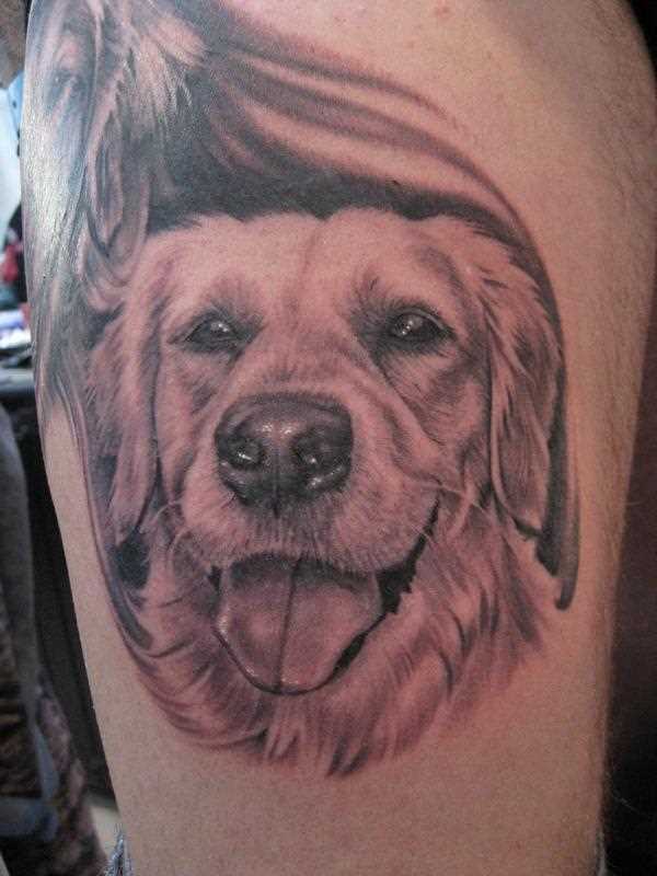 A tatuagem no quadril cara - de- cão