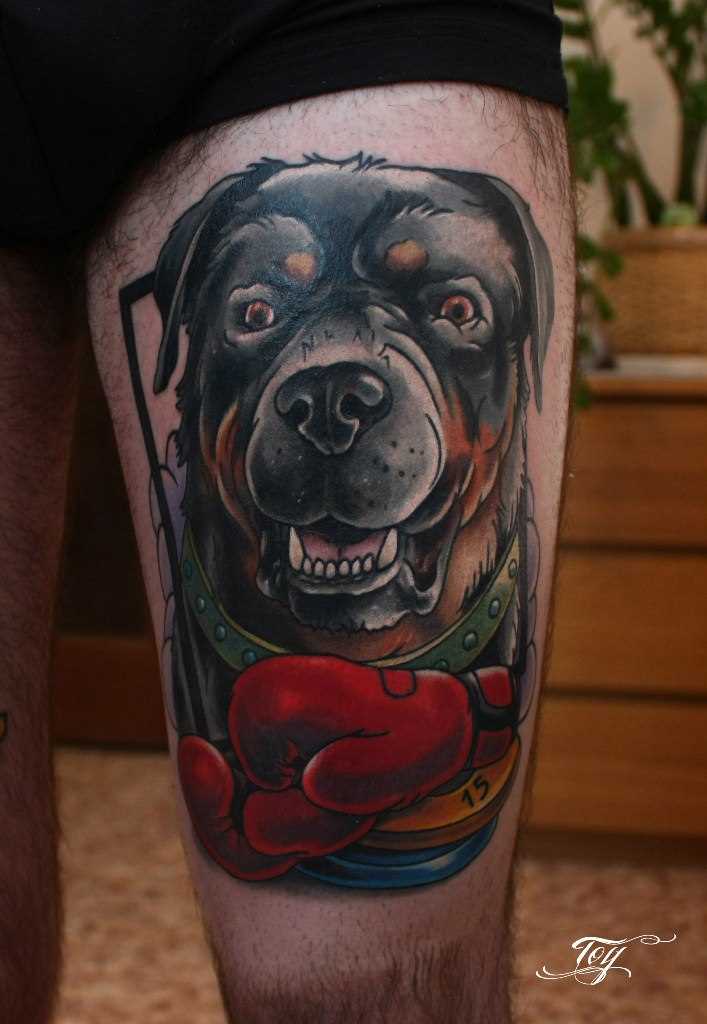 A tatuagem no quadril, o cara - de- cão e luvas de boxe