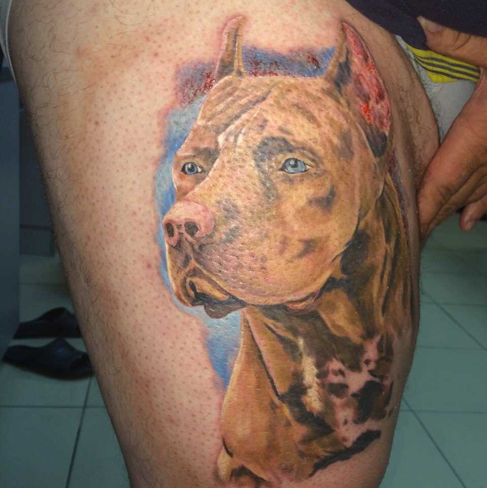 A tatuagem no quadril, o cara - de- cão