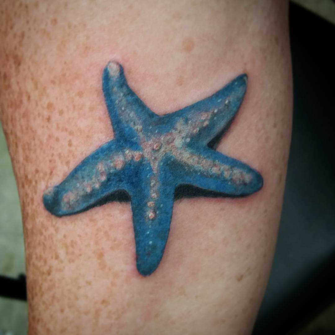 Azul imagem de estrela do mar no antebraço da mulher