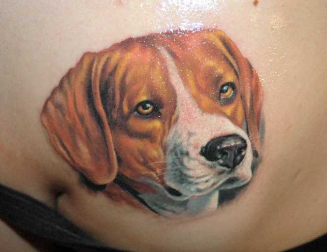 Bela tatuagem blade a menina - cão