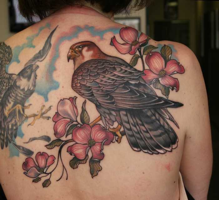 Bela tatuagem blade meninas - falcão em um galho