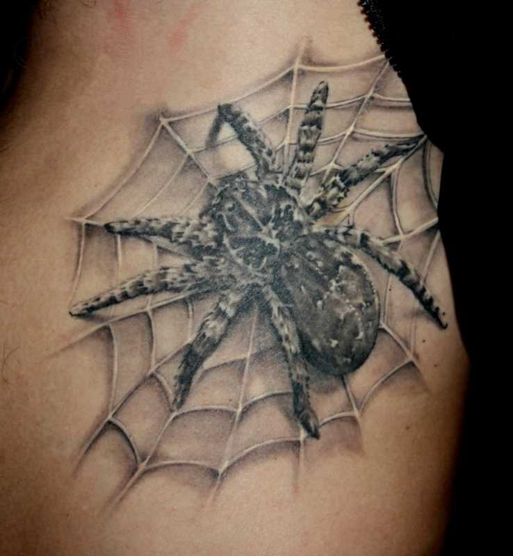 Bela tatuagem do cara na web - teia de aranha e a aranha