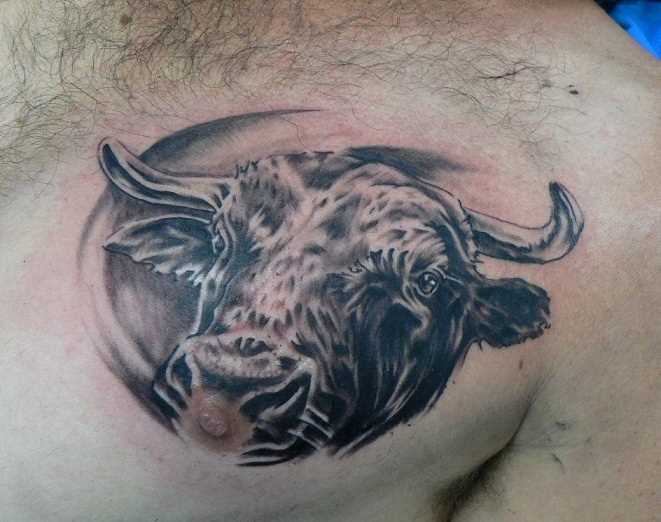 Bela tatuagem do cara no peito - cabeça de touro