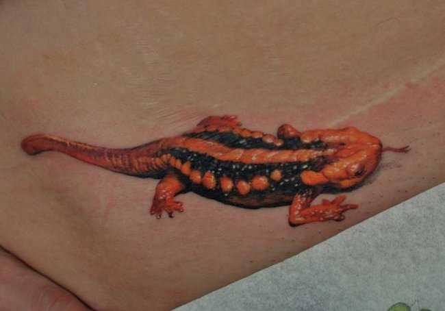 Bela tatuagem na barriga da menina - lagarto