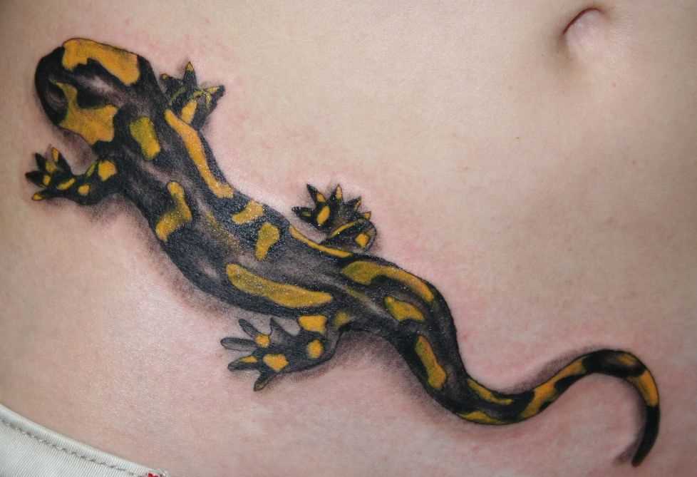 Bela tatuagem na barriga da menina - salamandra