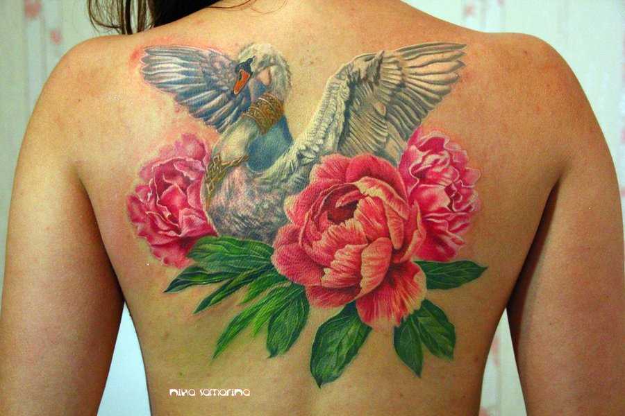 Bela tatuagem na parte de trás da menina - cisnes e peônias