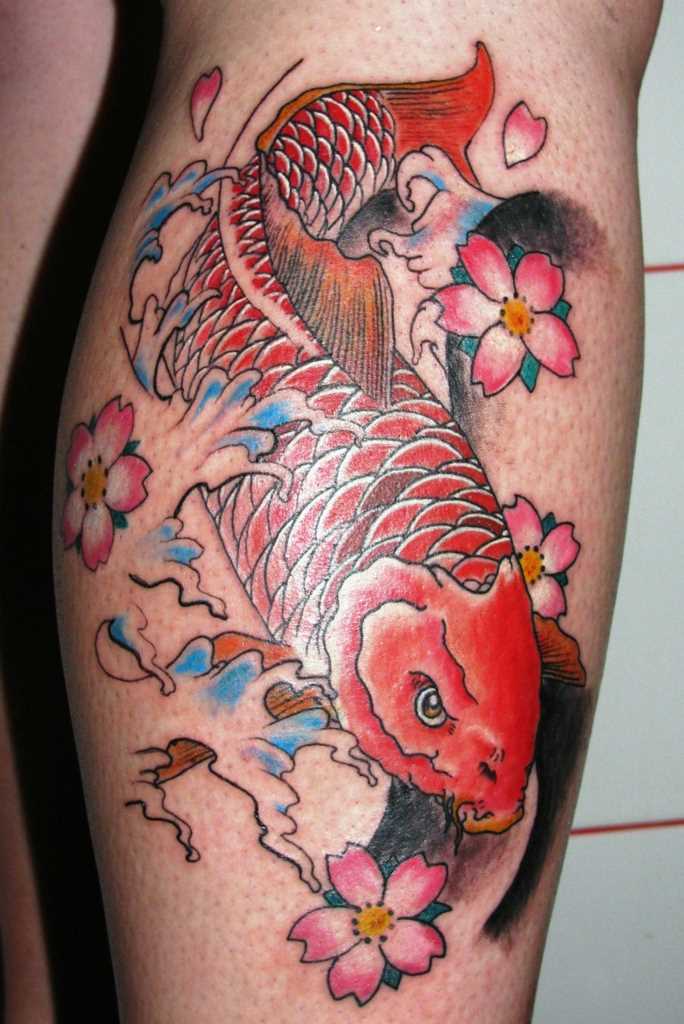 Bela tatuagem na perna da menina - carpa e sakura