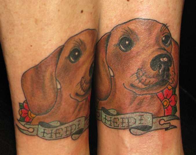 Bela tatuagem na perna da menina - o cão e a inscrição