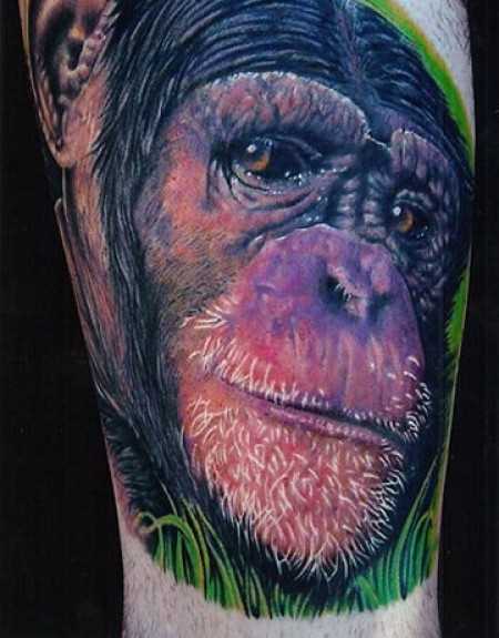 Bela tatuagem na perna de um cara de macaco