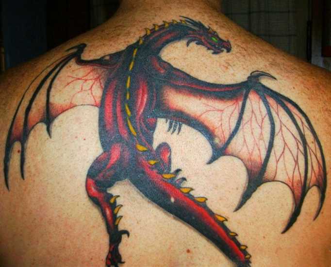 Bela tatuagem nas costas do cara em forma de dragão