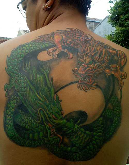Bela tatuagem nas costas do cara - vermelho e verde, dragões na forma de um símbolo do Yin-Yang