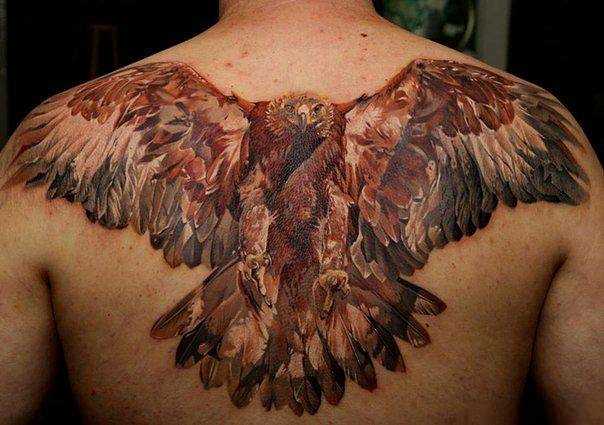 Bela tatuagem nas costas do cara - voador falcão