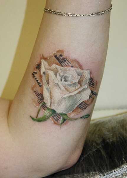 Bela tatuagem no antebraço menina notas e rosa branca