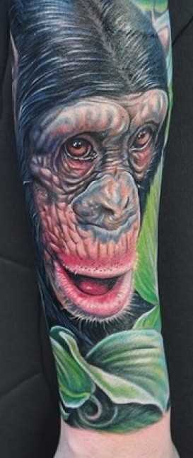 Bela tatuagem no antebraço para o homem - macaco