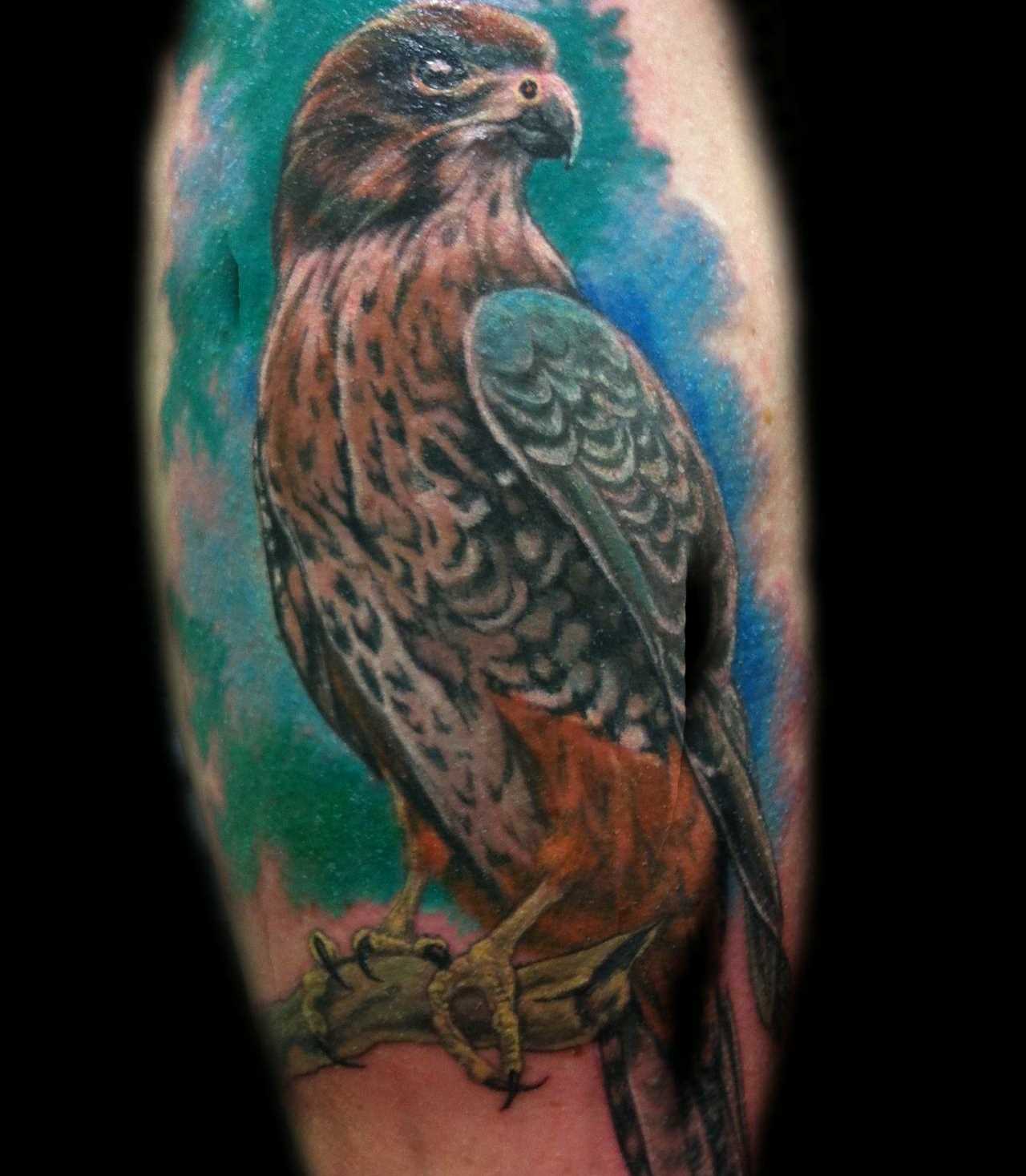 Bela tatuagem no ombro da menina - falcão
