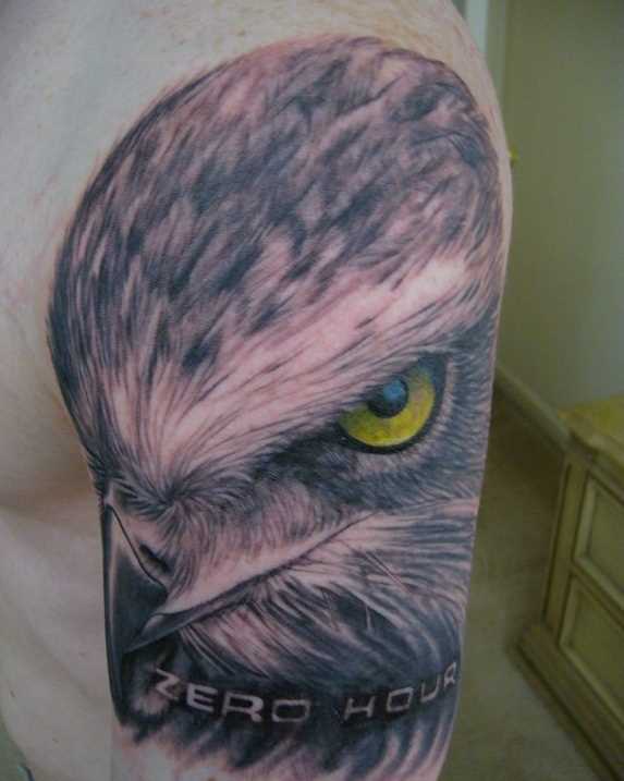 Bela tatuagem no ombro de um cara - a cabeça de um falcão