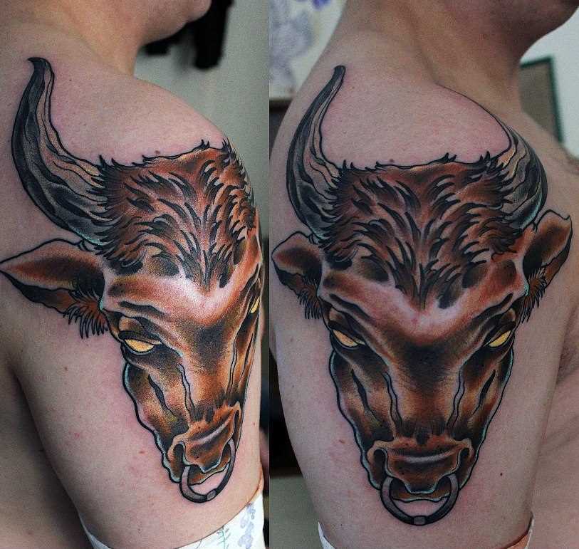 Bela tatuagem no ombro de um cara - cabeça de touro
