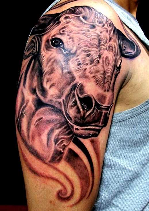 Bela tatuagem no ombro de um cara com a imagem de um touro