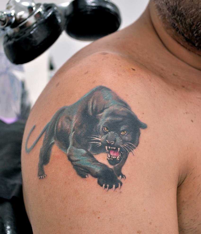 Bela tatuagem no ombro de um cara em forma de pantera