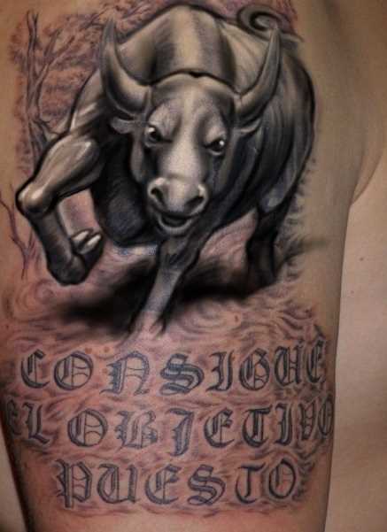 Bela tatuagem no ombro de um cara - o touro e a inscrição