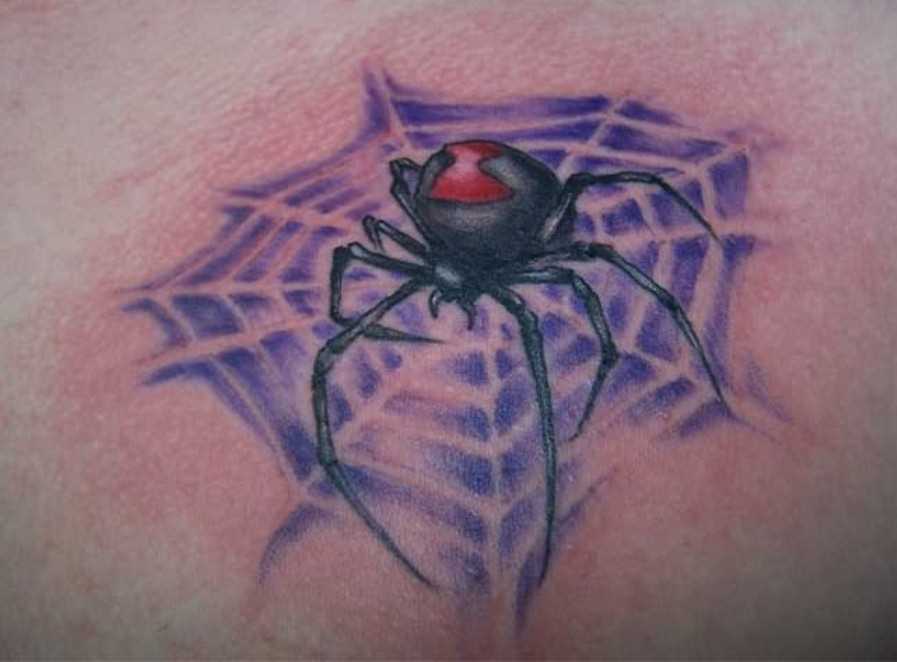 Bela tatuagem no peito de um cara - de- teia de aranha e a aranha