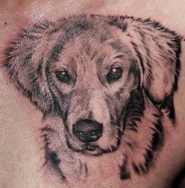 Bela tatuagem no peito do cara em forma de cão